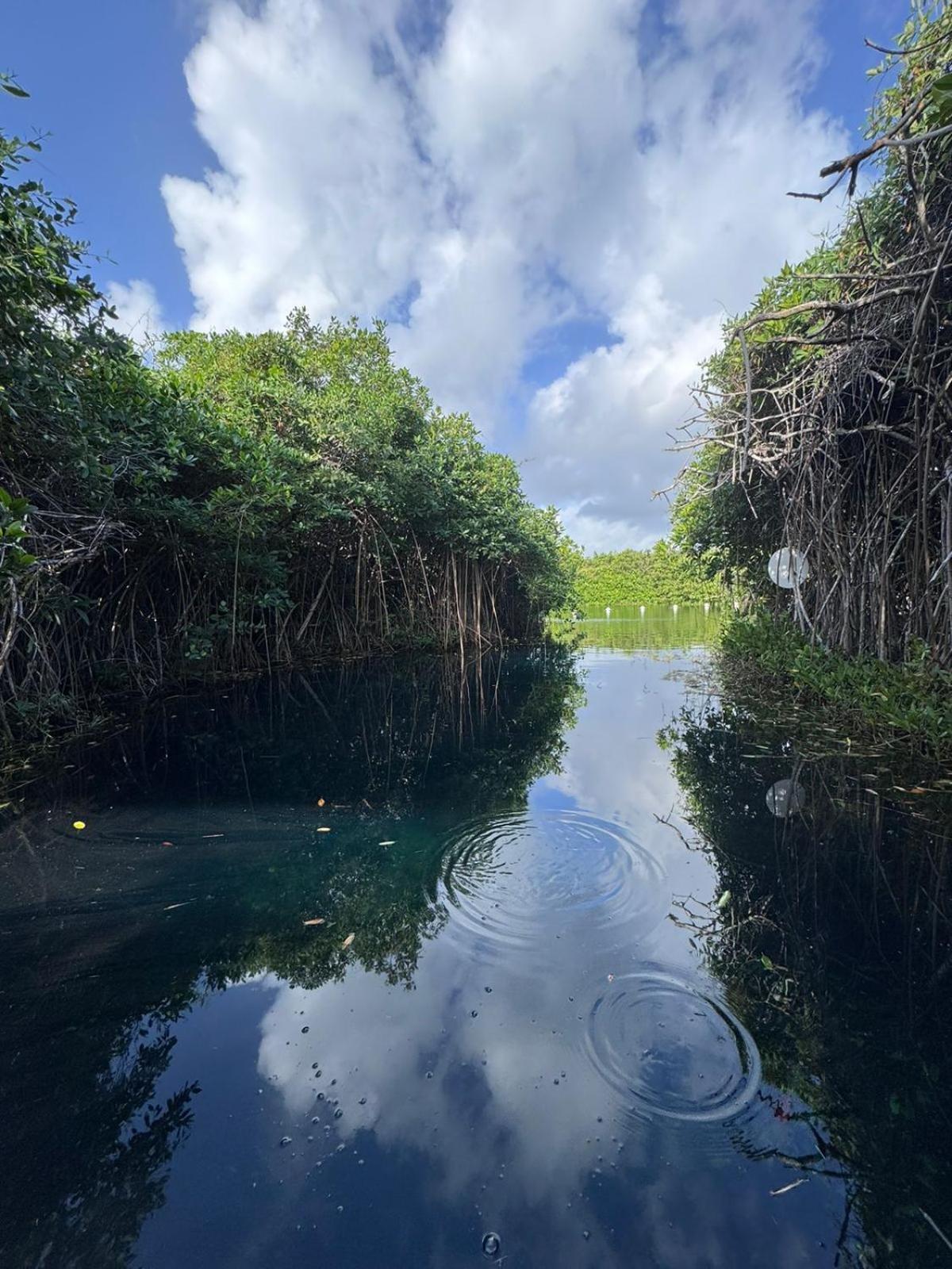 Cabanas Tulum - Aldea Mangle & Cenote Kültér fotó