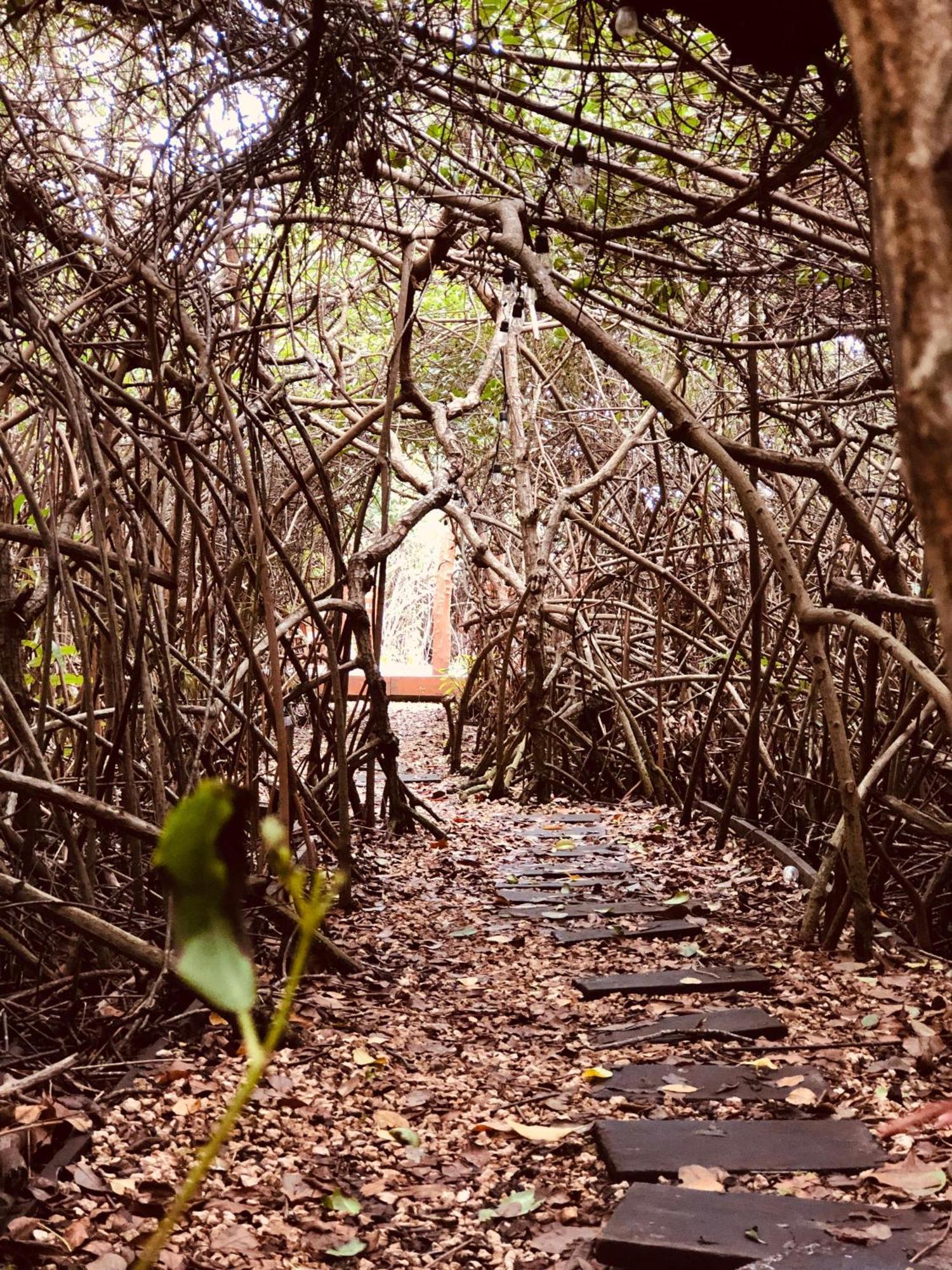 Cabanas Tulum - Aldea Mangle & Cenote Kültér fotó