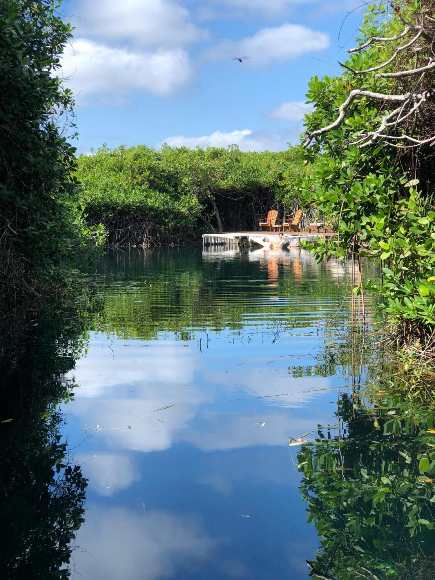 Cabanas Tulum - Aldea Mangle & Cenote Kültér fotó