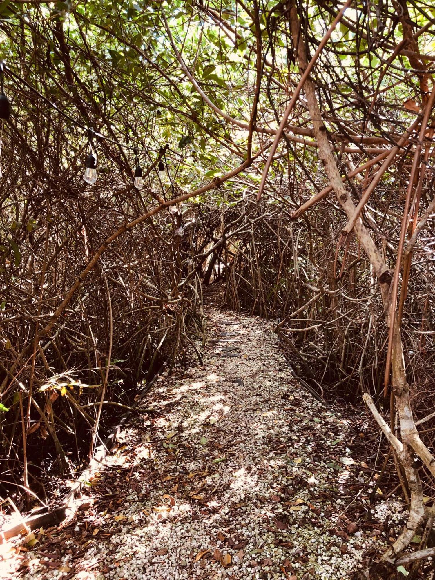 Cabanas Tulum - Aldea Mangle & Cenote Kültér fotó