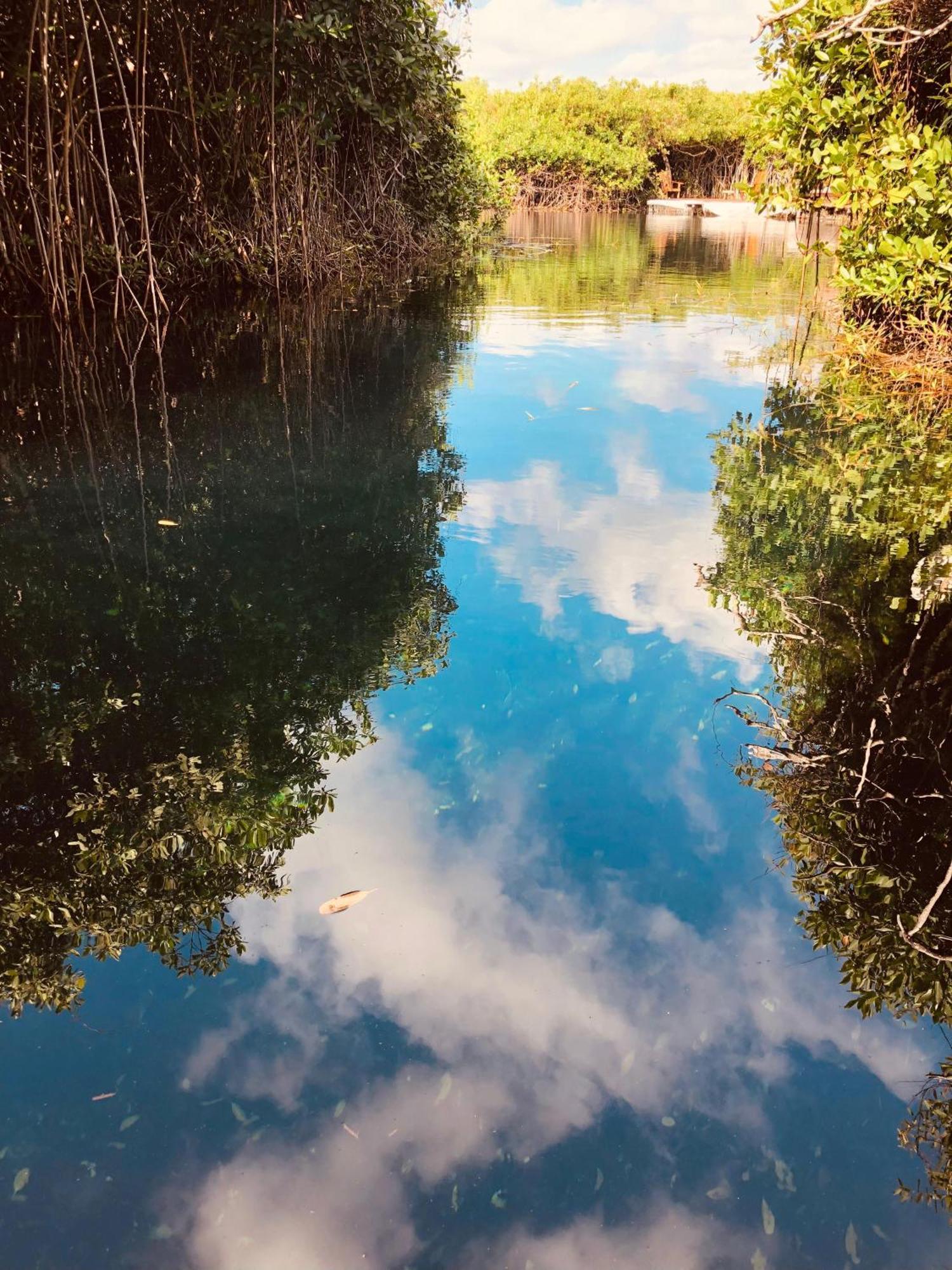 Cabanas Tulum - Aldea Mangle & Cenote Kültér fotó