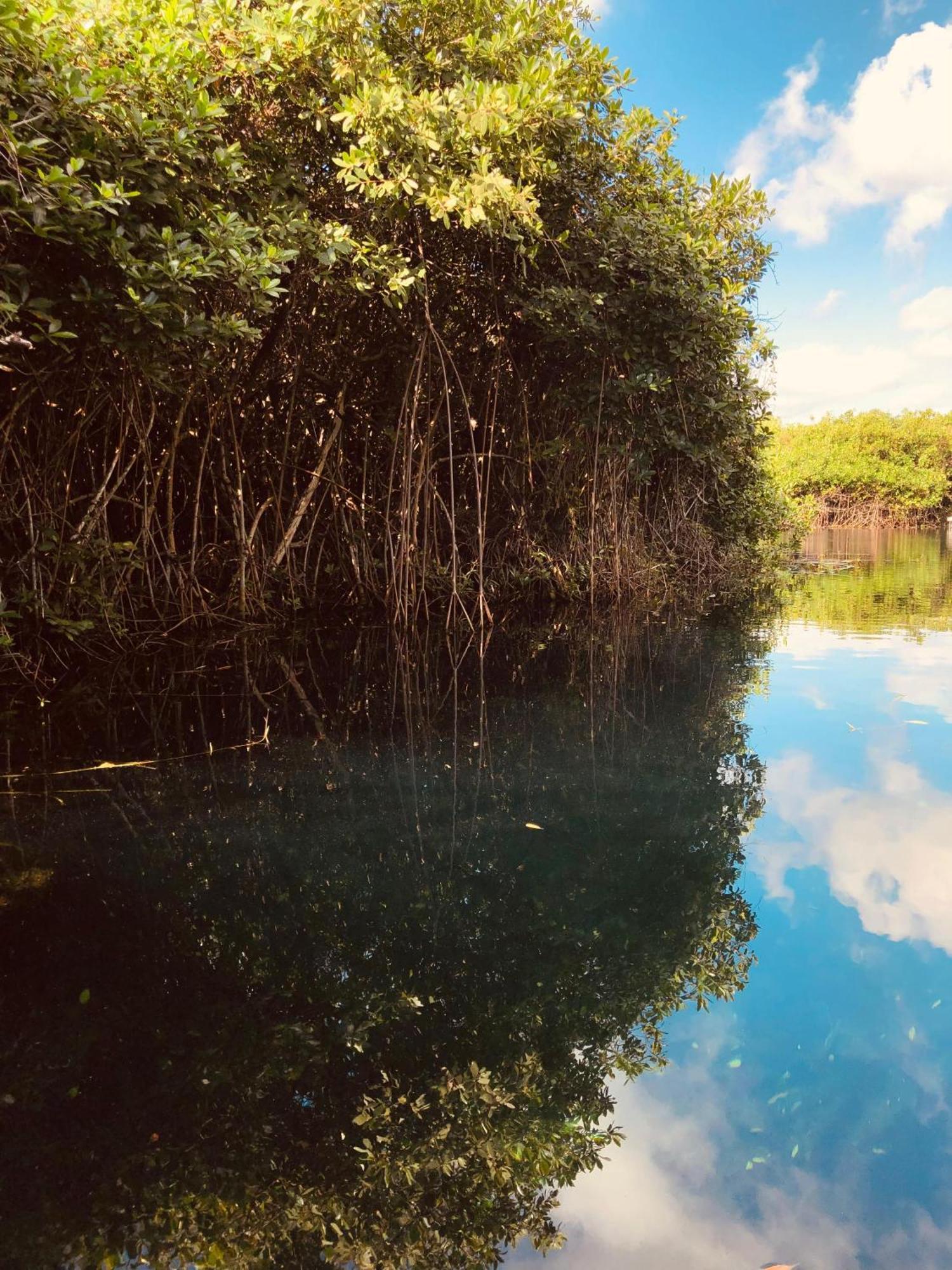 Cabanas Tulum - Aldea Mangle & Cenote Kültér fotó