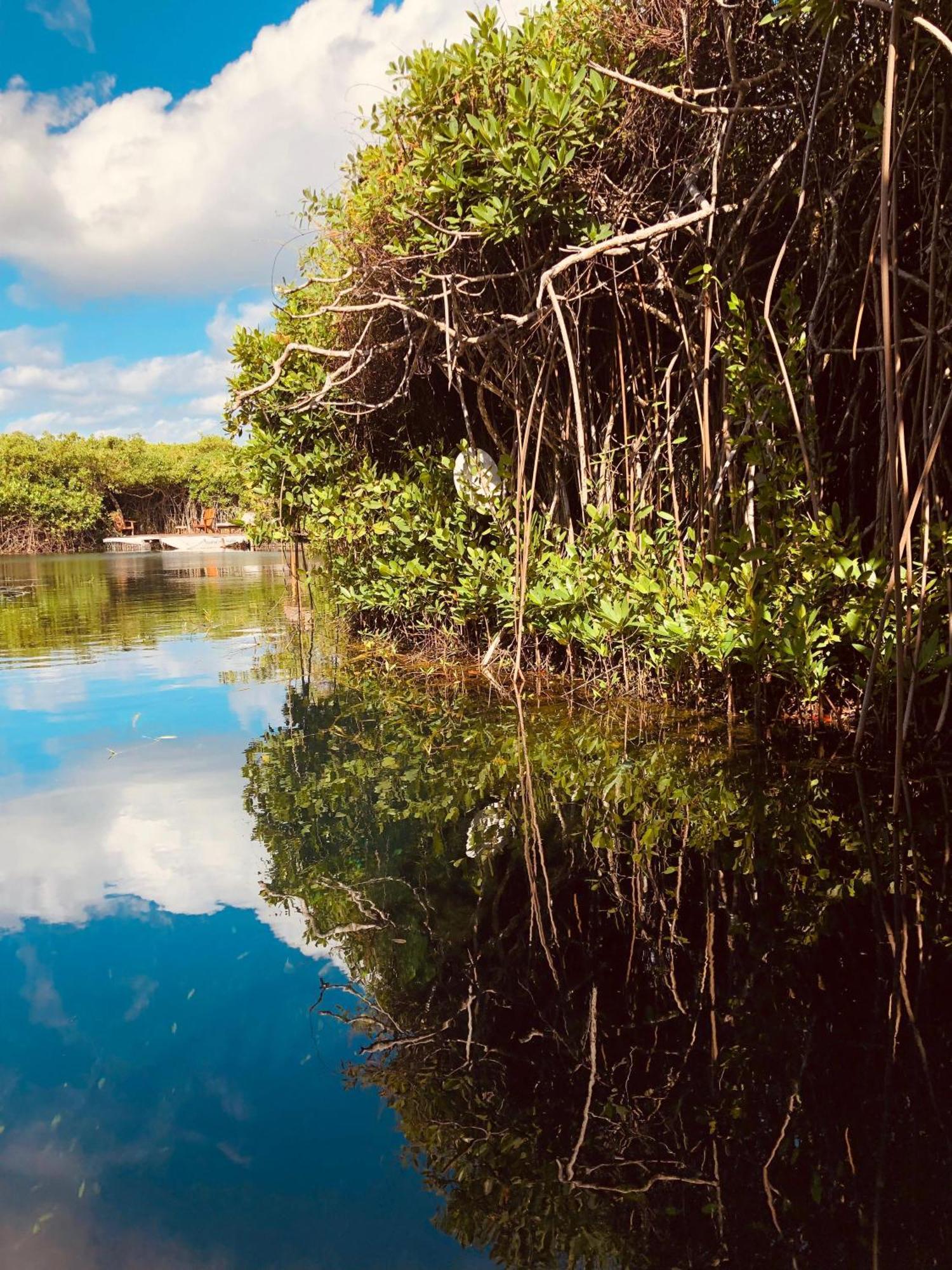 Cabanas Tulum - Aldea Mangle & Cenote Kültér fotó