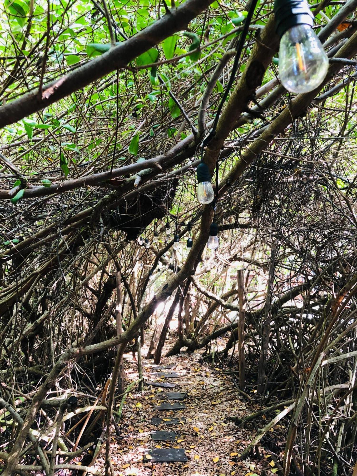 Cabanas Tulum - Aldea Mangle & Cenote Kültér fotó